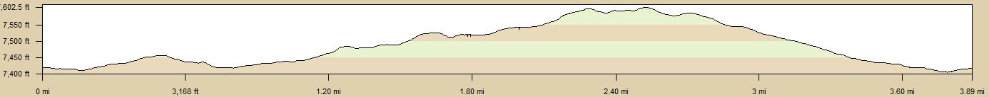 Altitude Profile