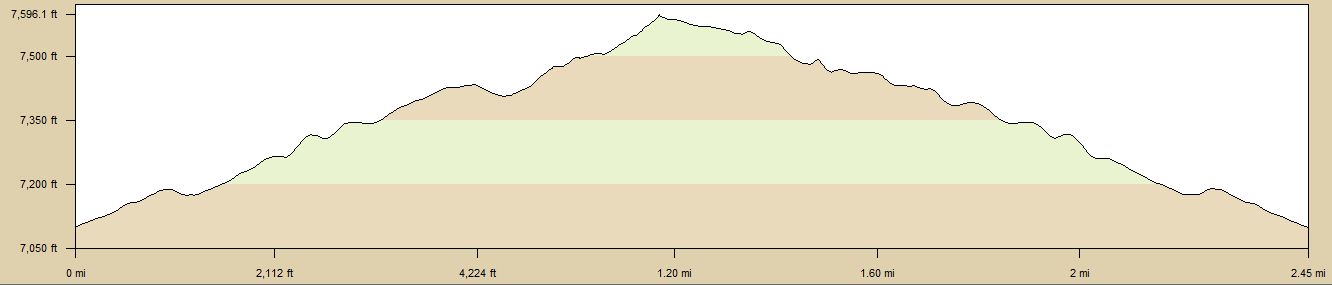 Altitude Profile