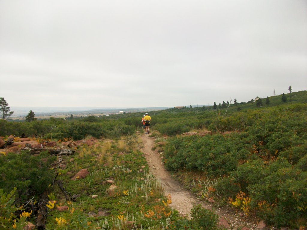 moreterrain.jpg