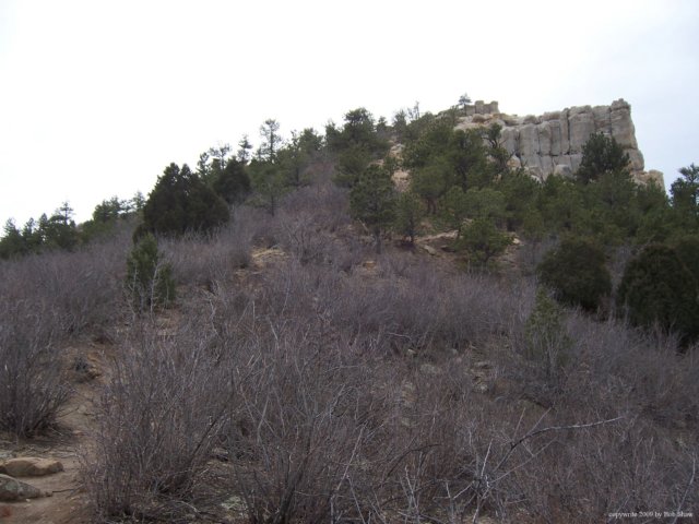_3525.jpg